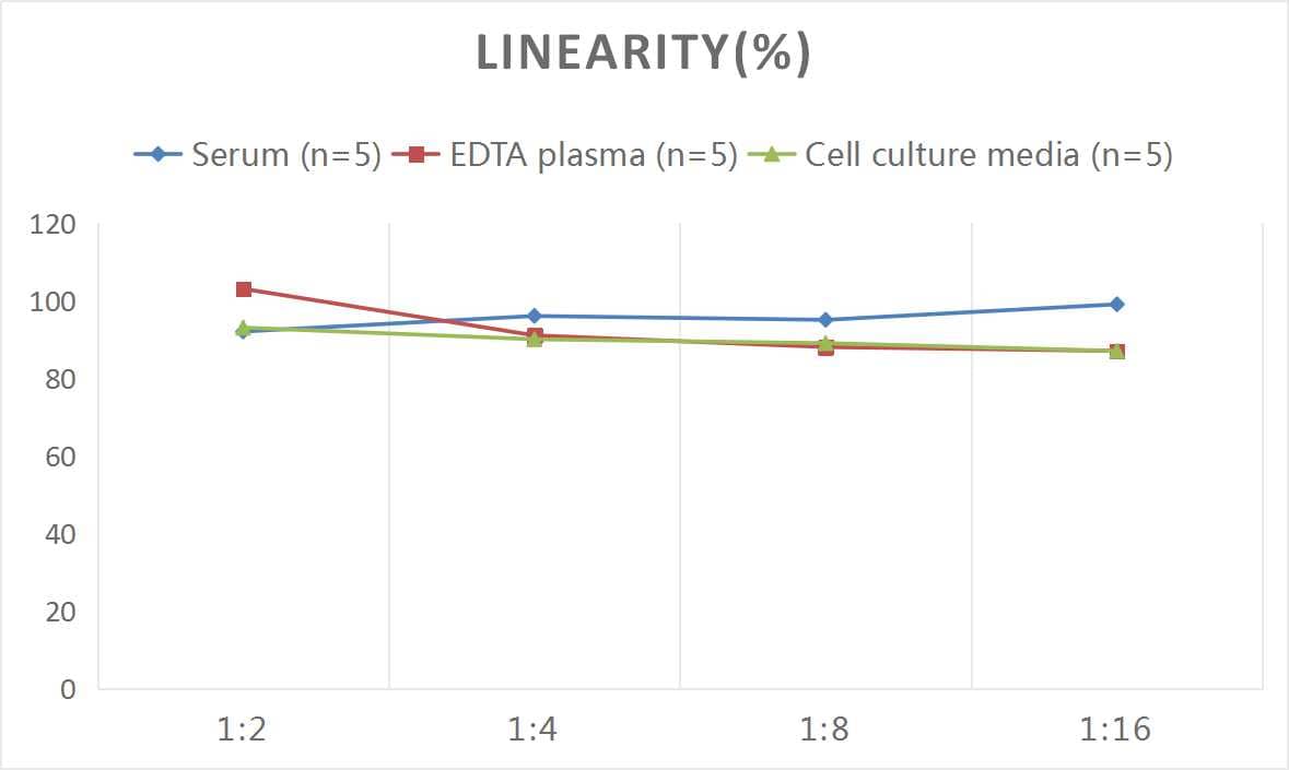 Mouse Factor V ELISA Kit (Colorimetric)