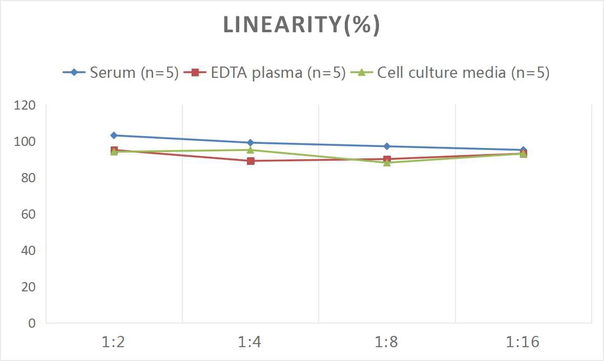 Mouse Pancreatic Polypeptide/PP ELISA Kit (Colorimetric)