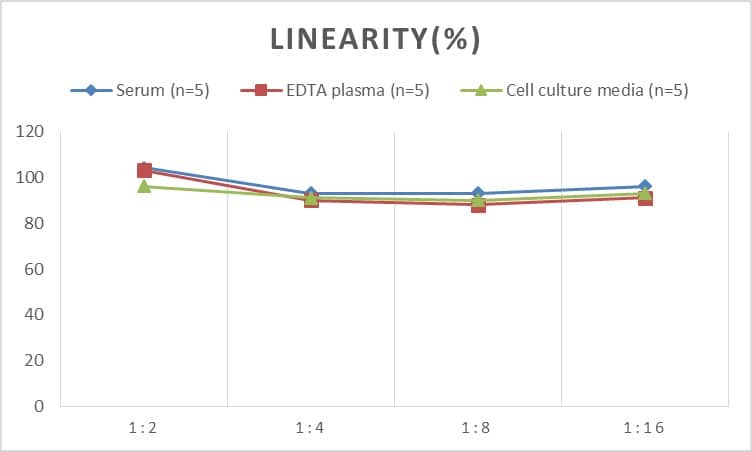 Mouse Glycogen Phosphorylase BB/GPBB ELISA Kit (Colorimetric)