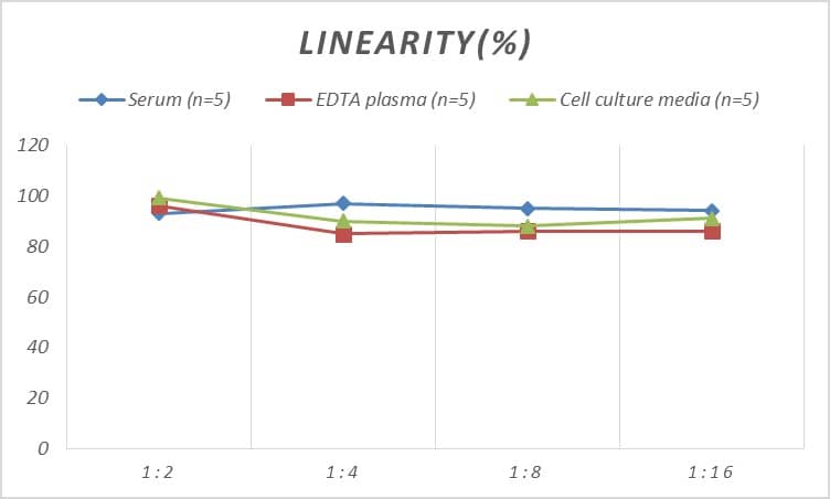 Mouse Slit2 ELISA Kit (Colorimetric)