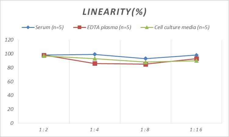 Mouse SNAP25 ELISA Kit (Colorimetric)