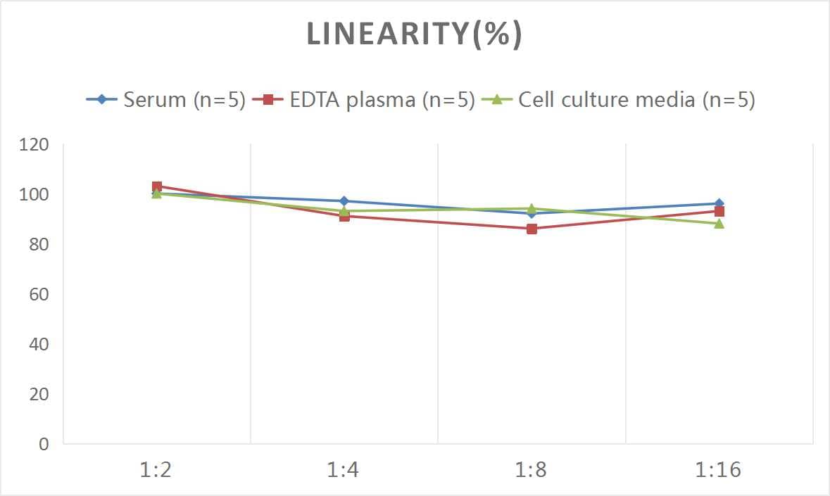 Mouse UCP1 ELISA Kit (Colorimetric)