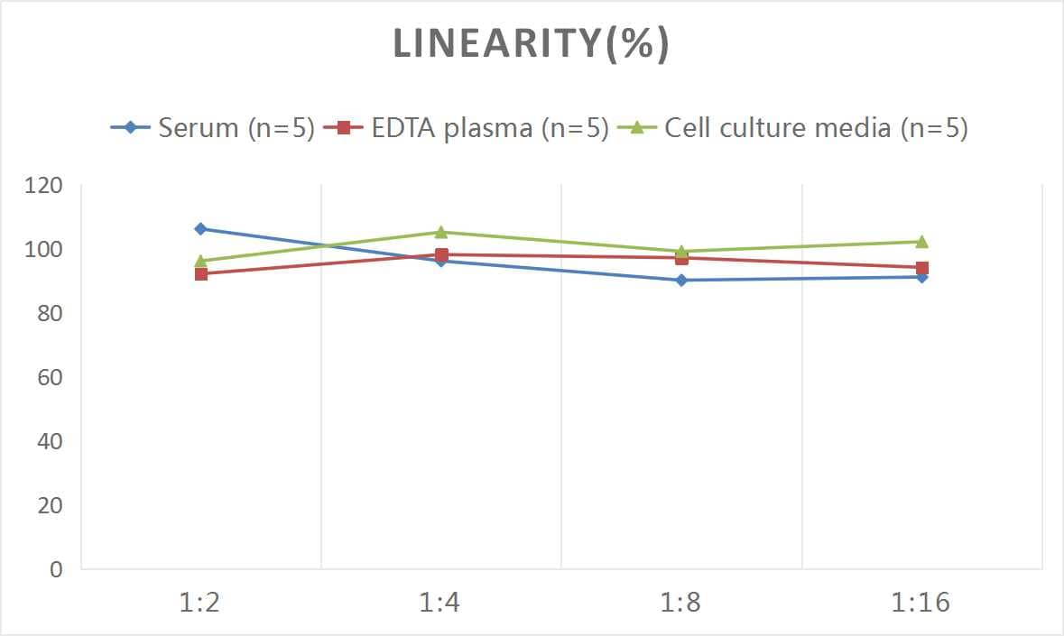 Mouse VIP ELISA Kit (Colorimetric)