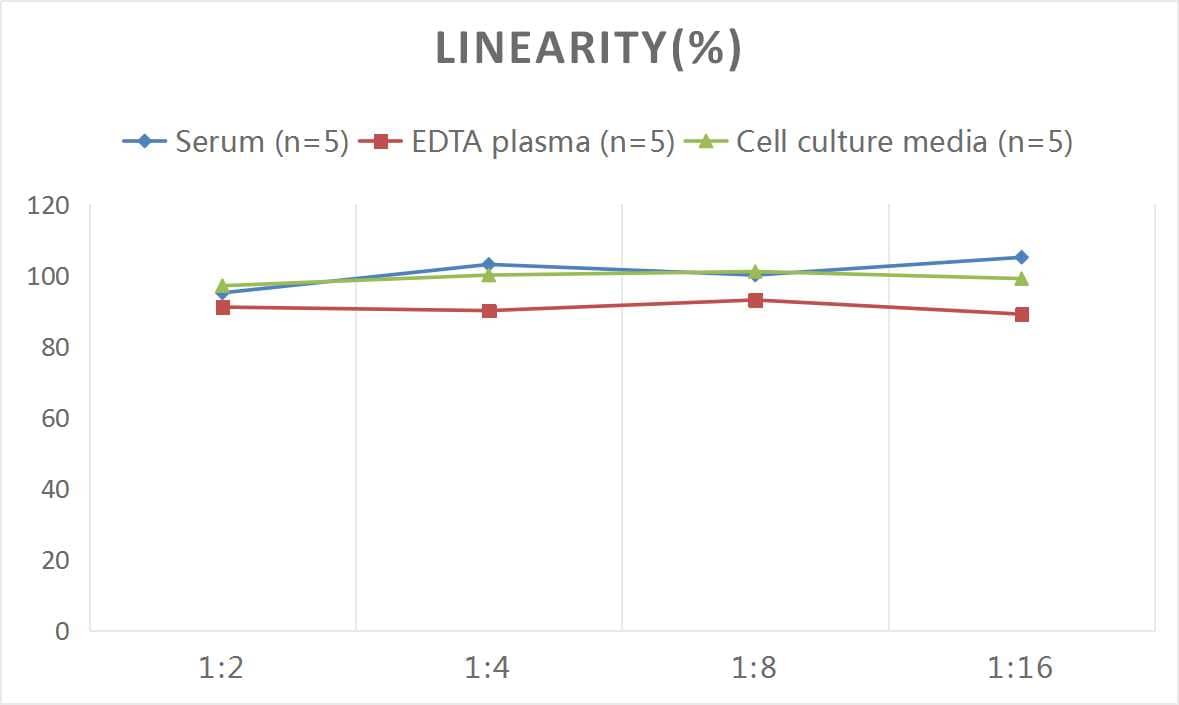 Rat Resistin ELISA Kit (Colorimetric)