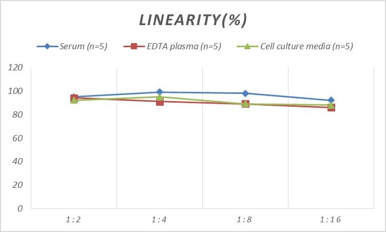 Rat Nogo ELISA Kit (Colorimetric)