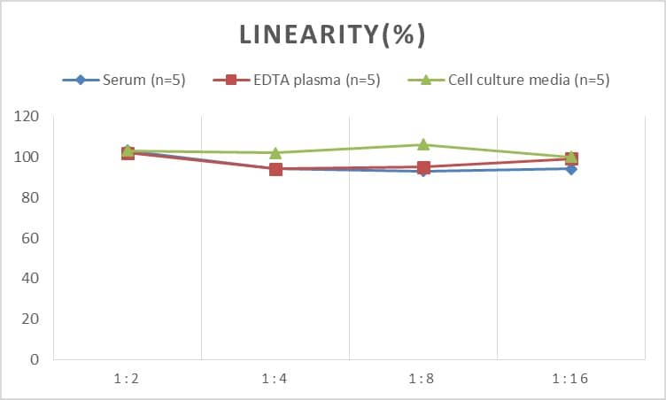 Rat Secretin ELISA Kit (Colorimetric)