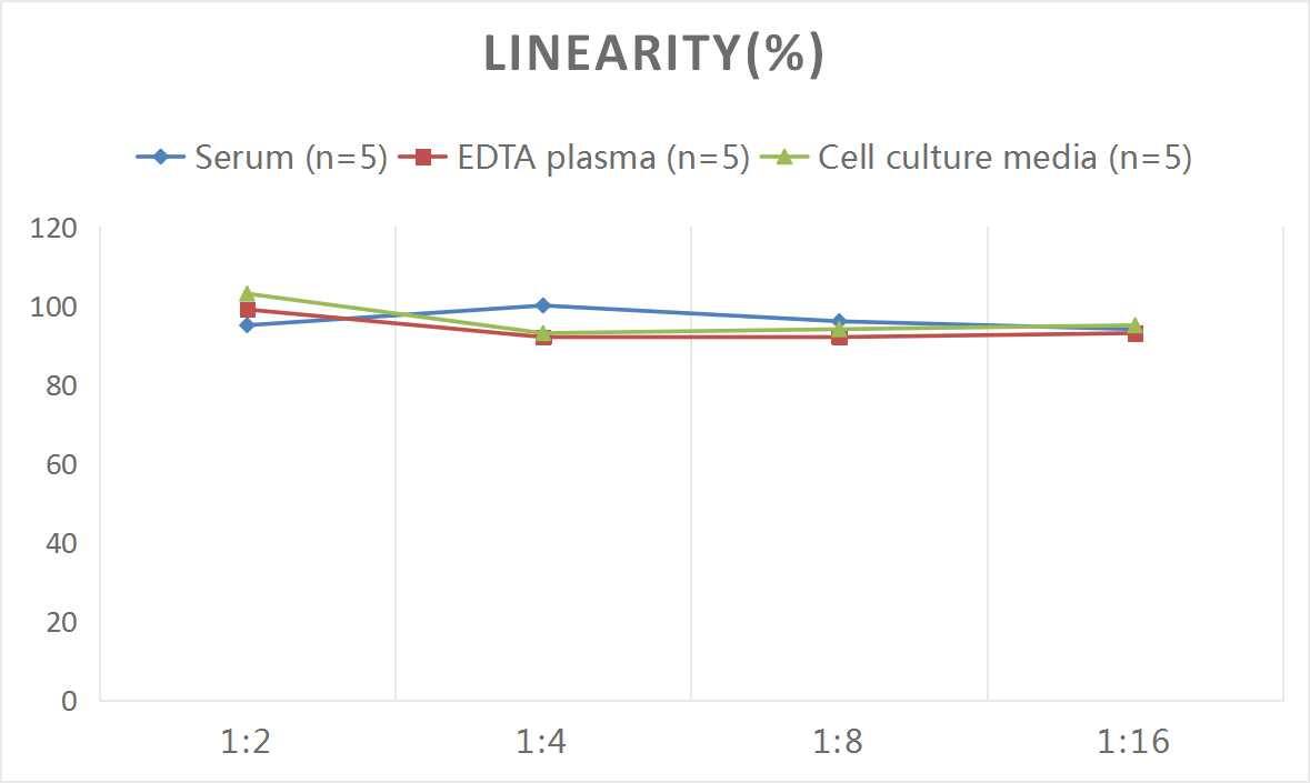 Rat Acetylcholinesterase/ACHE ELISA Kit (Colorimetric)