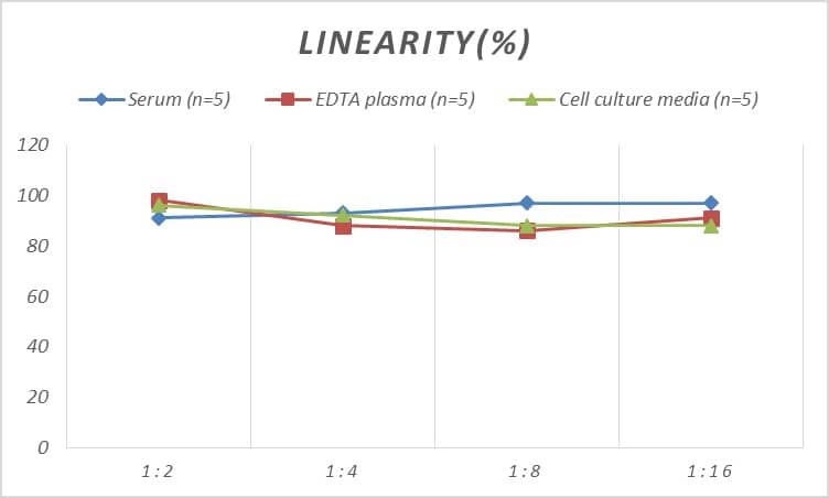 Rat LYAG/GAA ELISA Kit (Colorimetric)