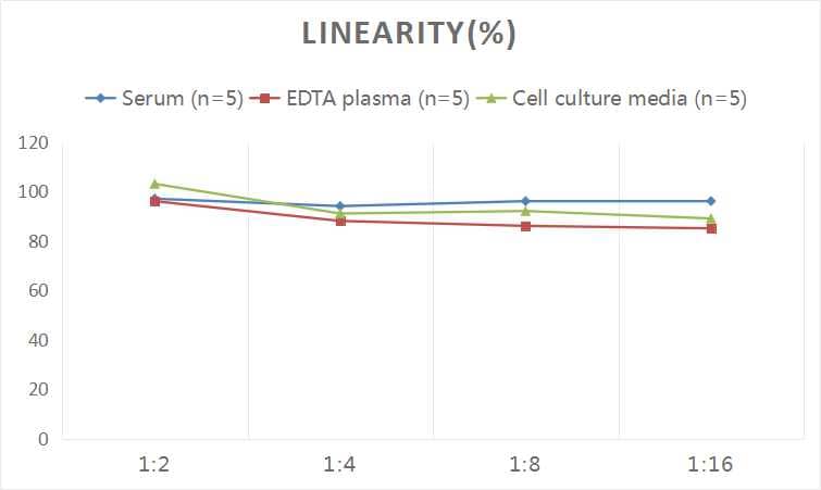 Human LYAG/GAA ELISA Kit (Colorimetric)