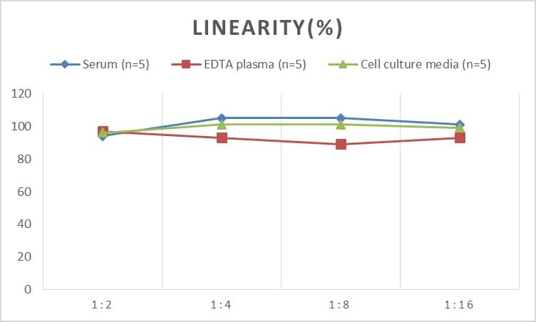 Rat CXCL16 ELISA Kit (Colorimetric)