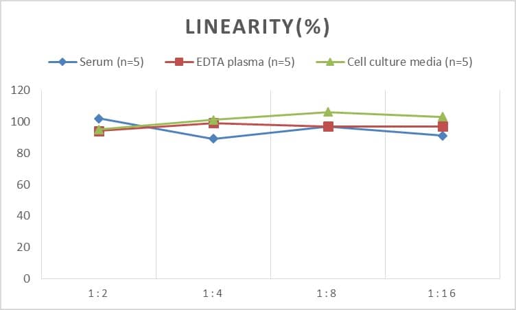 Rat DSIP ELISA Kit (Colorimetric)