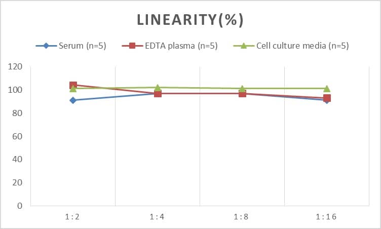 Human DSIP ELISA Kit (Colorimetric)