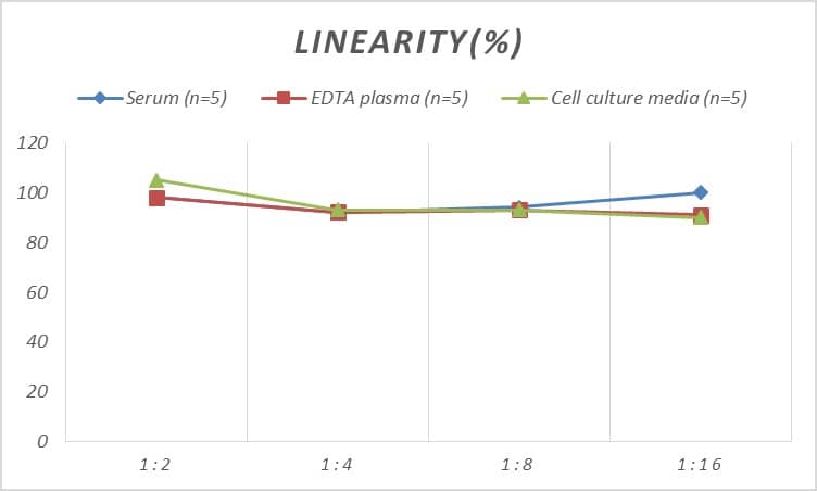 Rat Slit2 ELISA Kit (Colorimetric)