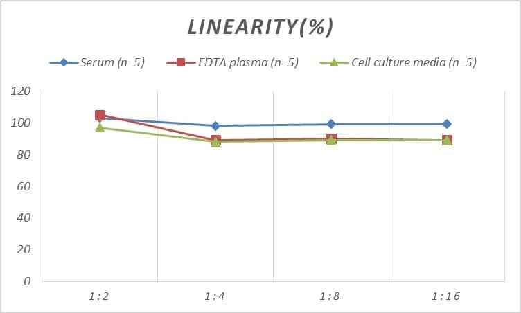 Rat SNAP25 ELISA Kit (Colorimetric)