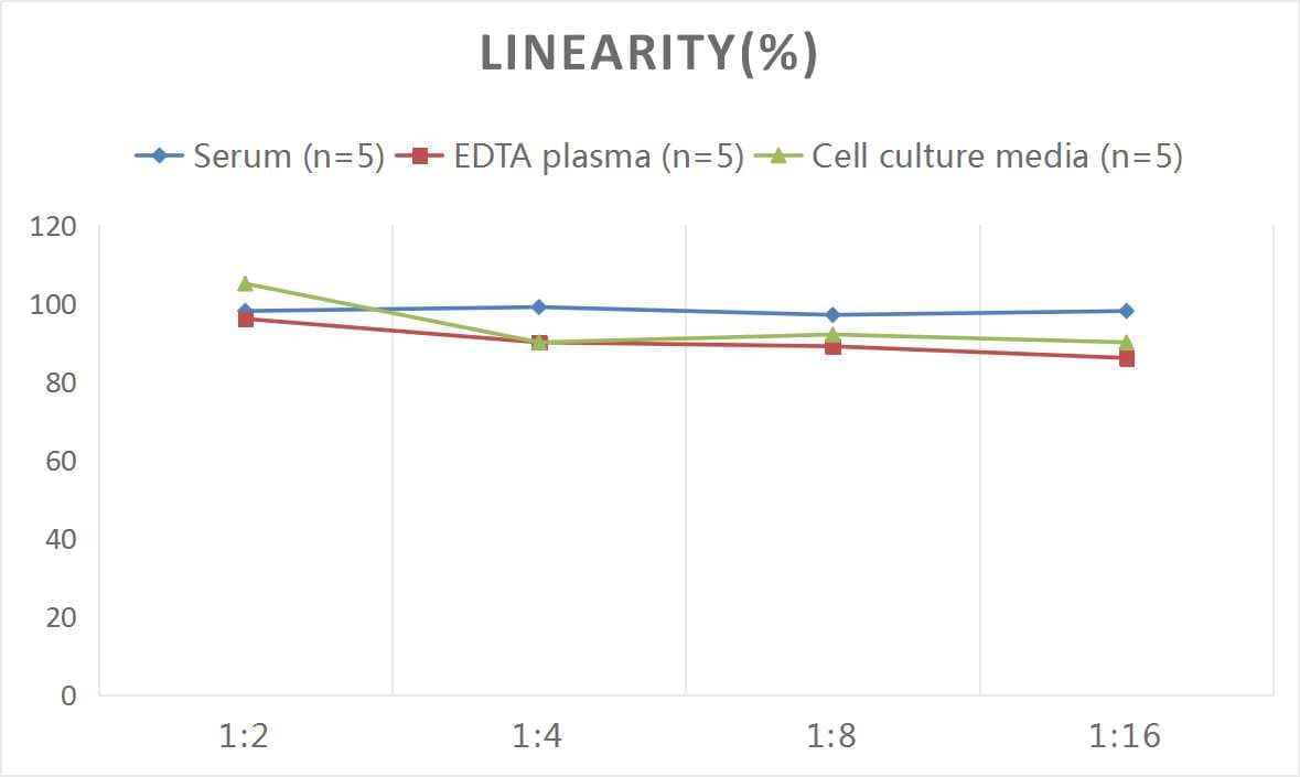 Rat Uromodulin ELISA Kit (Colorimetric)