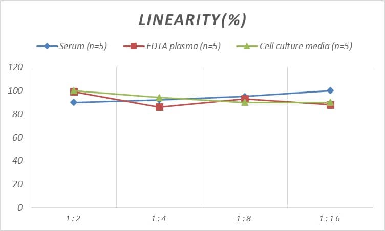 Rat Desmin ELISA Kit (Colorimetric)