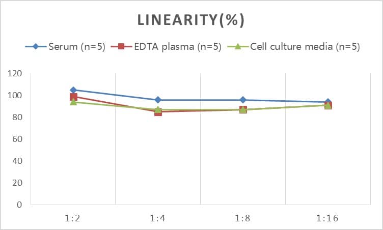 Rat Dkk-1 ELISA Kit (Colorimetric)