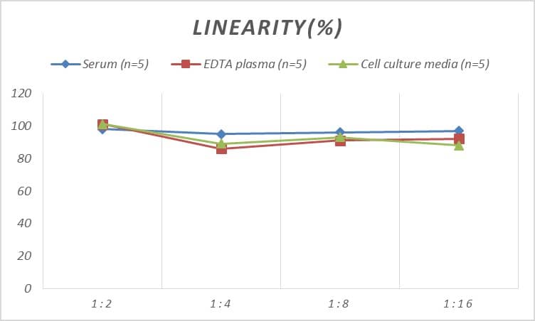 Rat Dkk-3 ELISA Kit (Colorimetric)