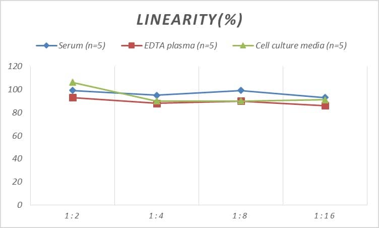 Rat UCP1 ELISA Kit (Colorimetric)