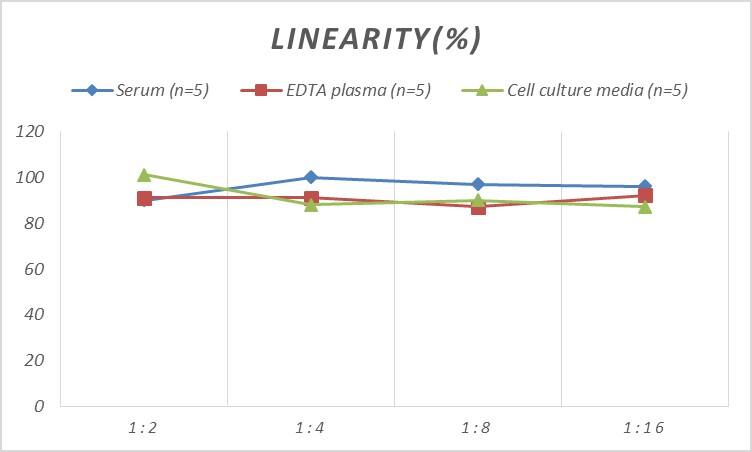 Human Desmin ELISA Kit (Colorimetric)