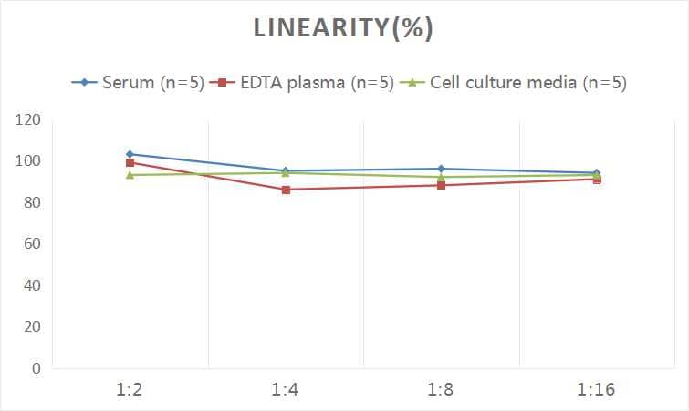 Human Dkk-2 ELISA Kit (Colorimetric)