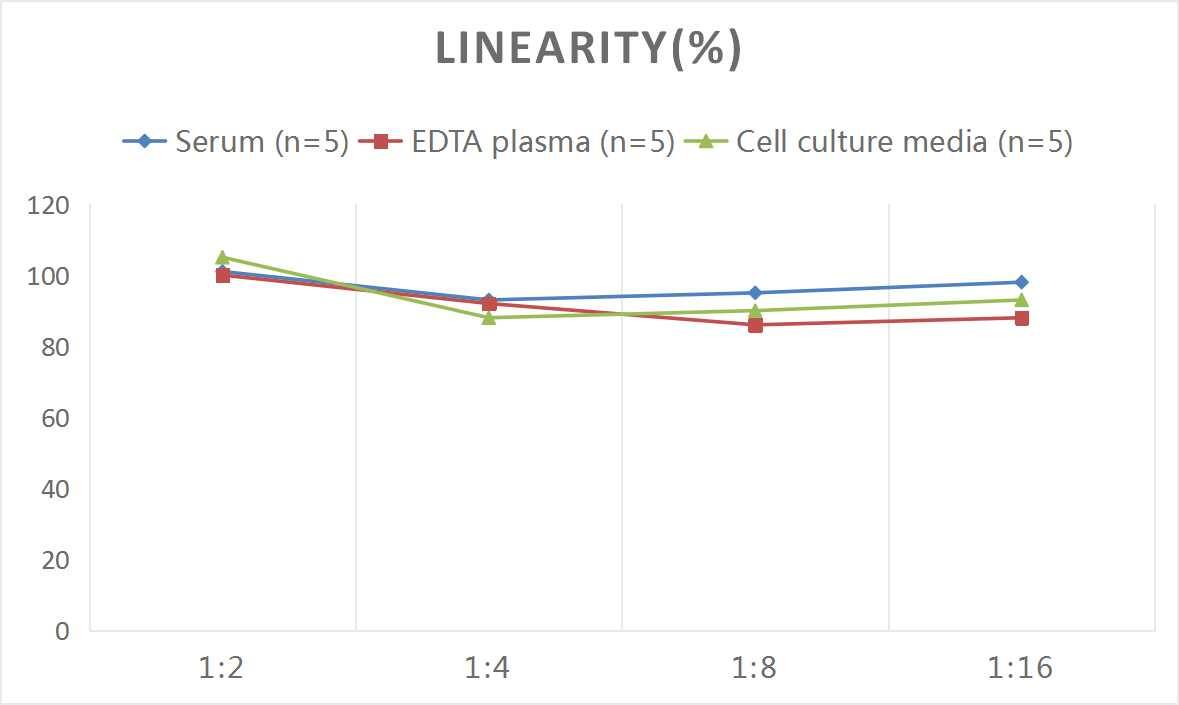 Rat DPPIV/CD26 ELISA Kit (Colorimetric)