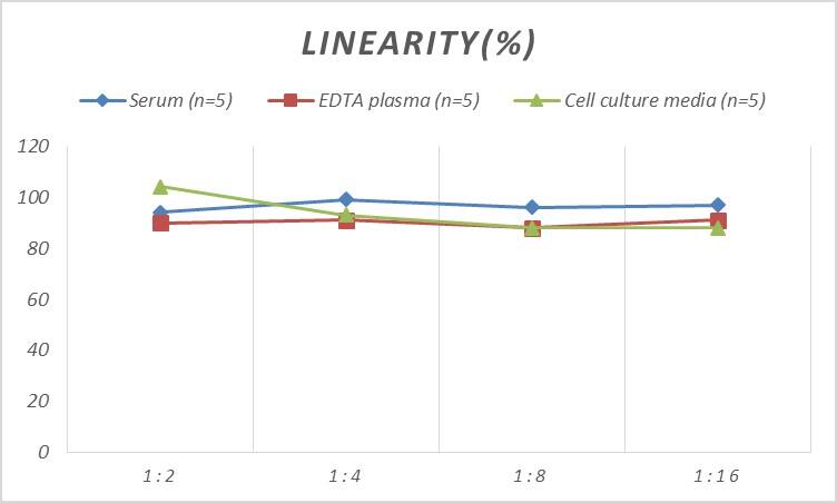 Rat EAAT3 ELISA Kit (Colorimetric)