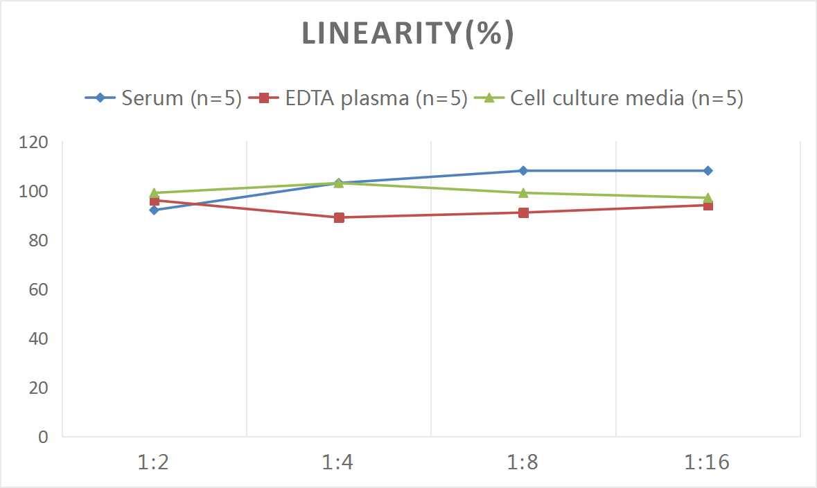 Rat Erythropoietin/EPO ELISA Kit (Colorimetric)