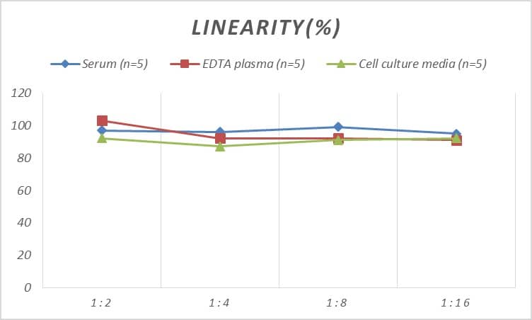 Rat Coagulation Factor XI ELISA Kit (Colorimetric)