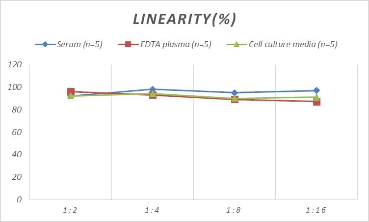 Rat Factor XIII ELISA Kit (Colorimetric)