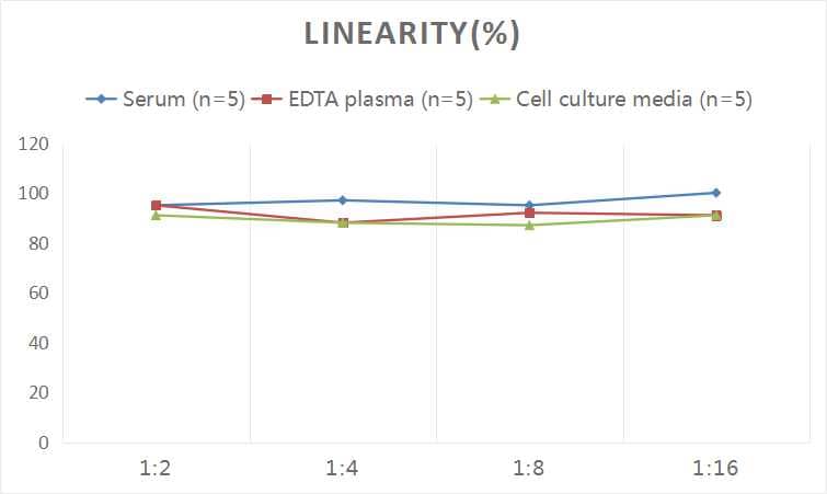 Human DPP10 ELISA Kit (Colorimetric)