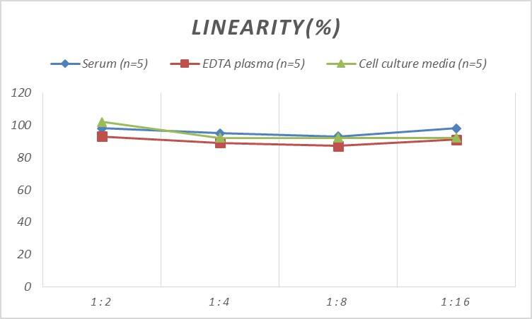 Human DPP6 ELISA Kit (Colorimetric)