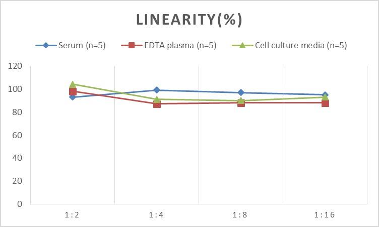 Human EAAT3 ELISA Kit (Colorimetric)