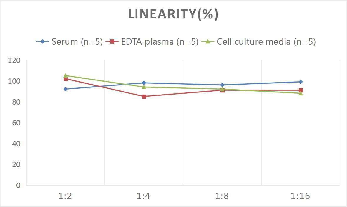 Rat Factor V ELISA Kit (Colorimetric)