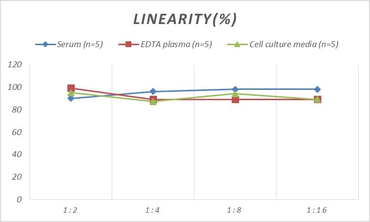 Rat Factor VIII ELISA Kit (Colorimetric)