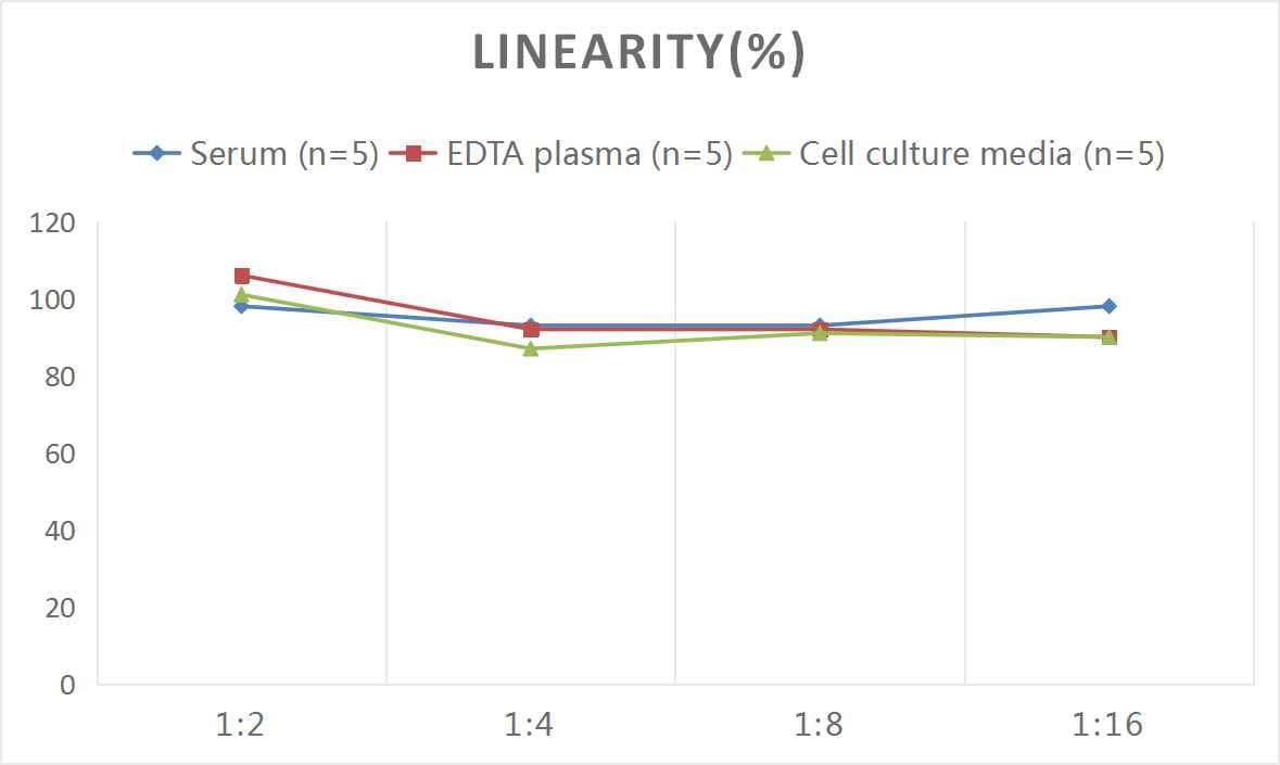 Rat Factor IX ELISA Kit (Colorimetric)