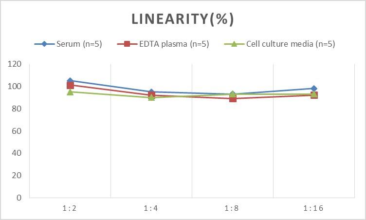 Rat Xanthine Oxidase ELISA Kit (Colorimetric)