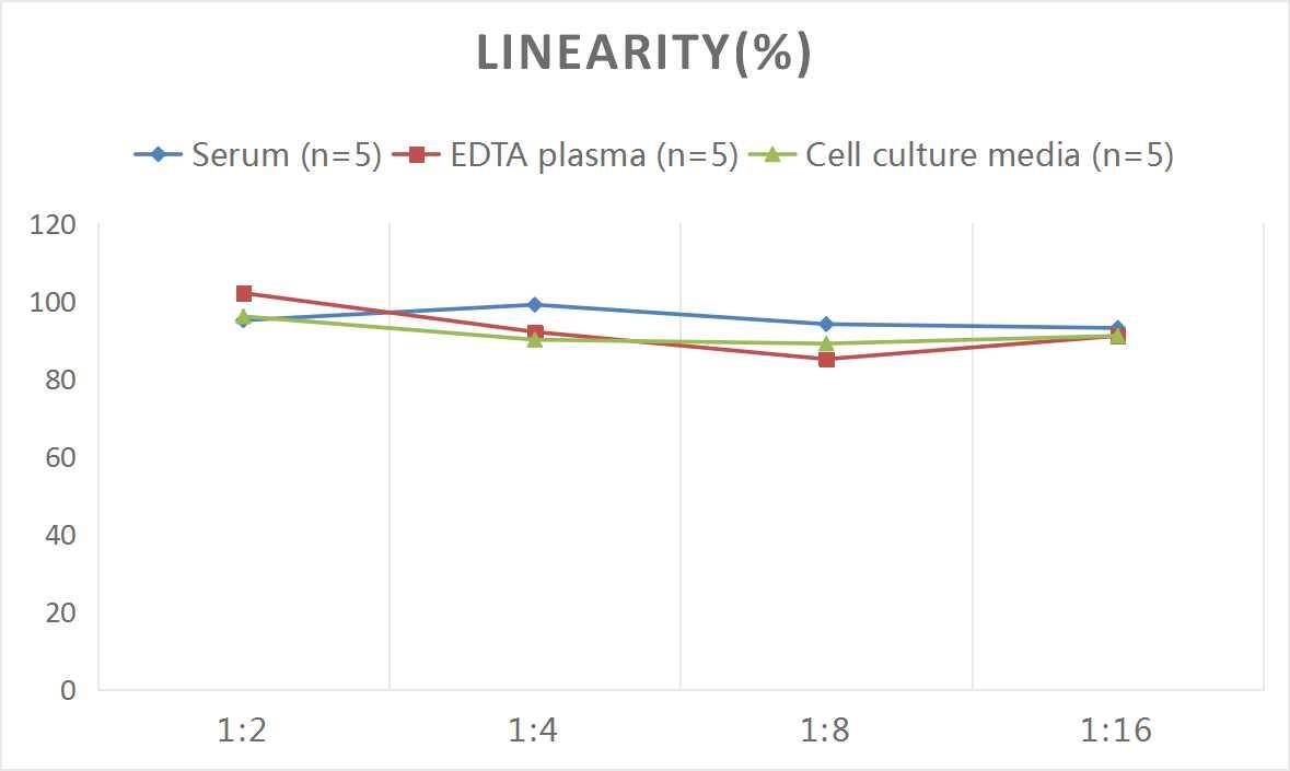 Rat Coagulation Factor II/Thrombin ELISA Kit (Colorimetric)