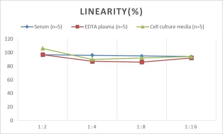 Rat Dkk-2 ELISA Kit (Colorimetric)