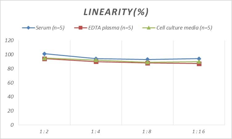 Rat Glycogen Phosphorylase BB/GPBB ELISA Kit (Colorimetric)