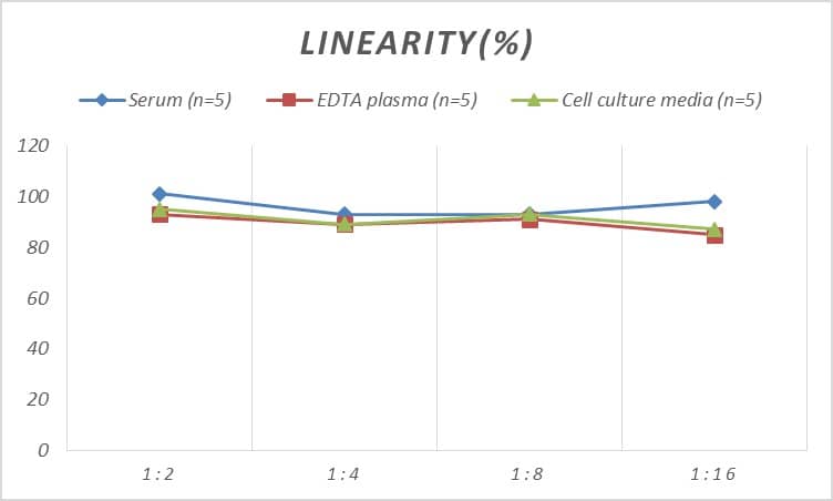 Rat Proadrenomedullin/Pro-ADM ELISA Kit (Colorimetric)