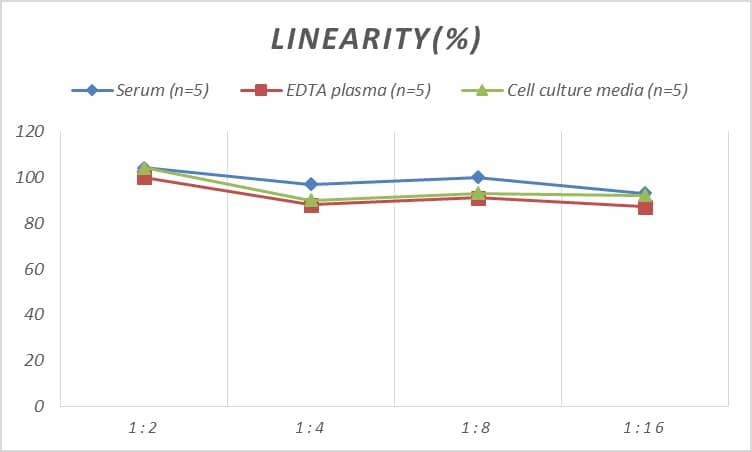 Human DSPG3/EPYC ELISA Kit (Colorimetric)