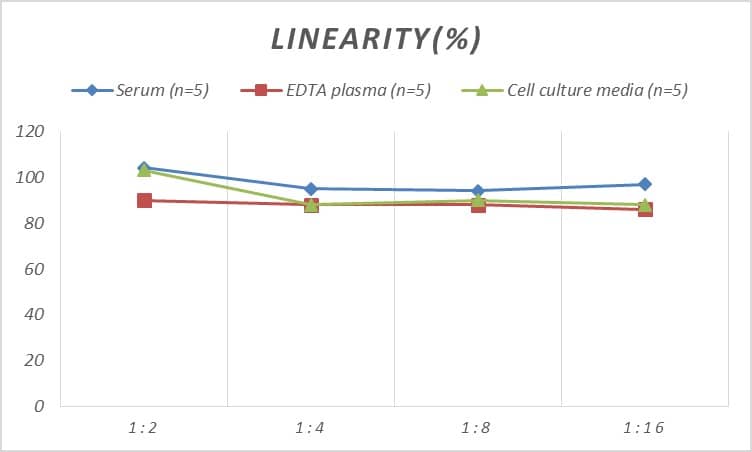 Human Exostosin 1 ELISA Kit (Colorimetric)