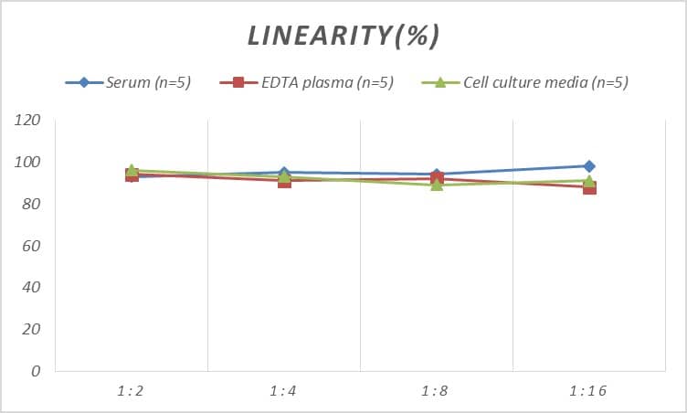 Rat PYGL ELISA Kit (Colorimetric)