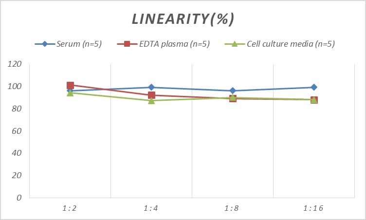 Rat Glycogen phosphorylase, muscle form ELISA Kit (Colorimetric)