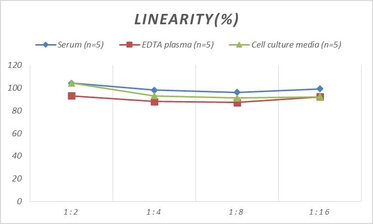 Rat Reelin ELISA Kit (Colorimetric)