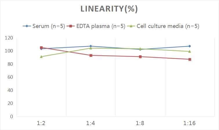 Human Factor V ELISA Kit (Colorimetric)