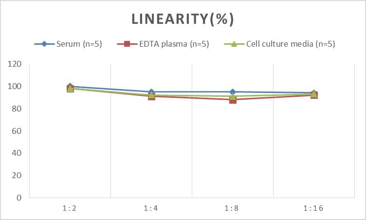 Human FAAH ELISA Kit (Colorimetric)