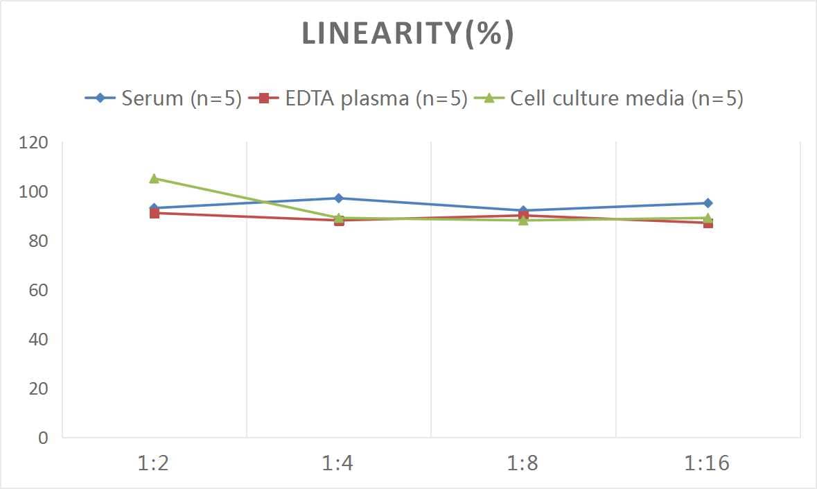 Human Pancreatic Polypeptide/PP ELISA Kit (Colorimetric)