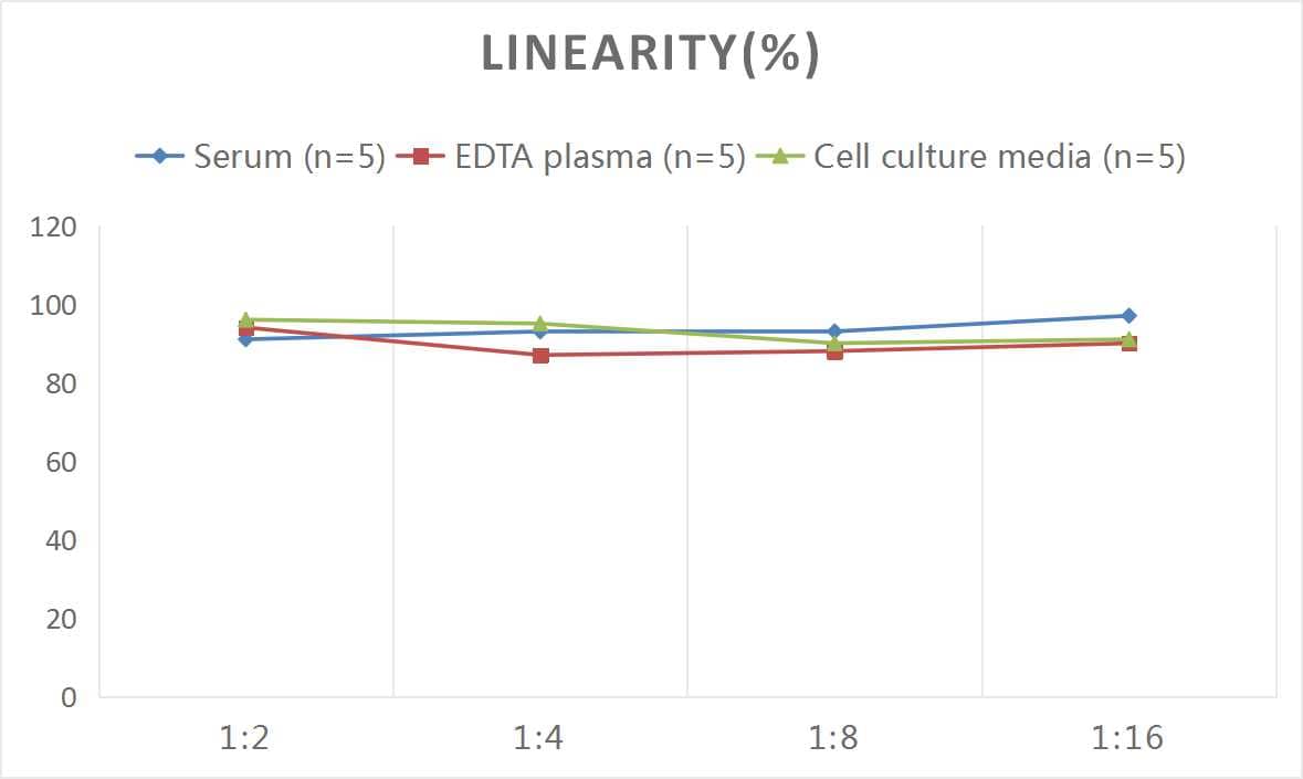 Human Proadrenomedullin/Pro-ADM ELISA Kit (Colorimetric)